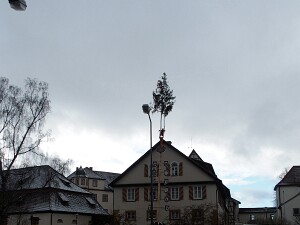 Narrensprung Donzdorf 11.01.2015